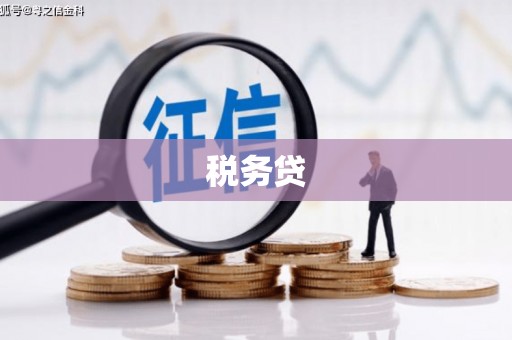 盈江税务贷